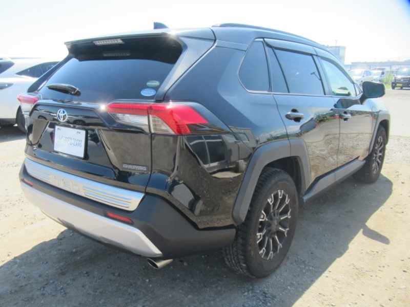 2019 TOYOTA RAV4 ADVENTURE