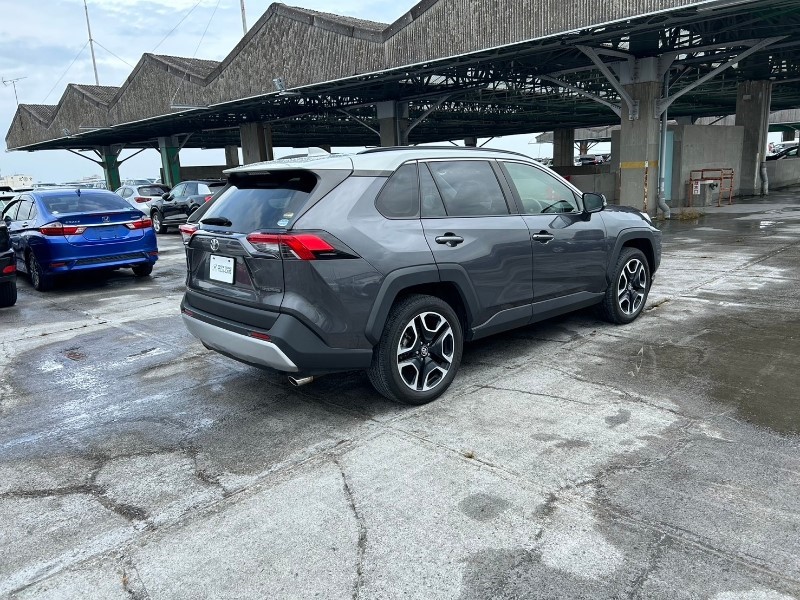 2019 TOYOTA RAV4 ADVENTURE