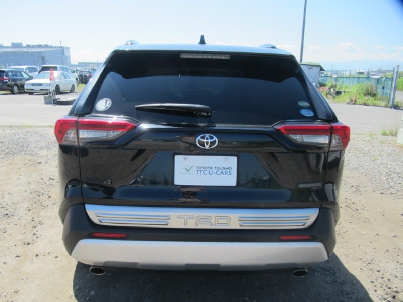 2019 TOYOTA RAV4 ADVENTURE