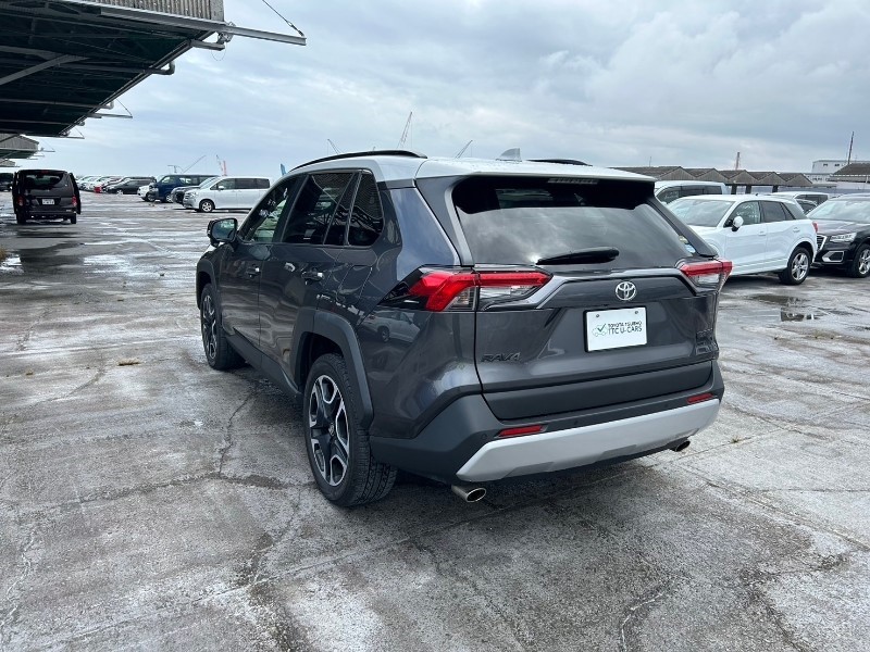 2019 TOYOTA RAV4 ADVENTURE