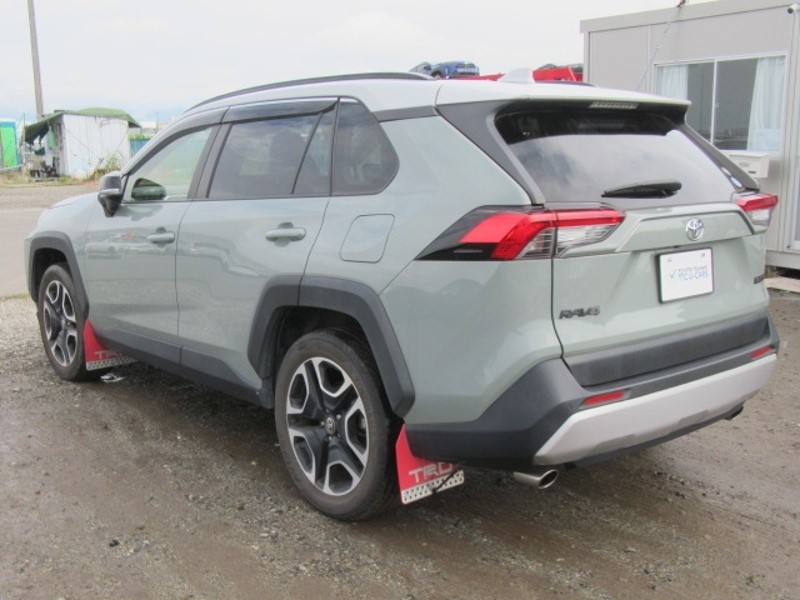 2019 TOYOTA RAV4 ADVENTURE