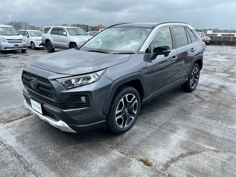 2019 TOYOTA RAV4 ADVENTURE