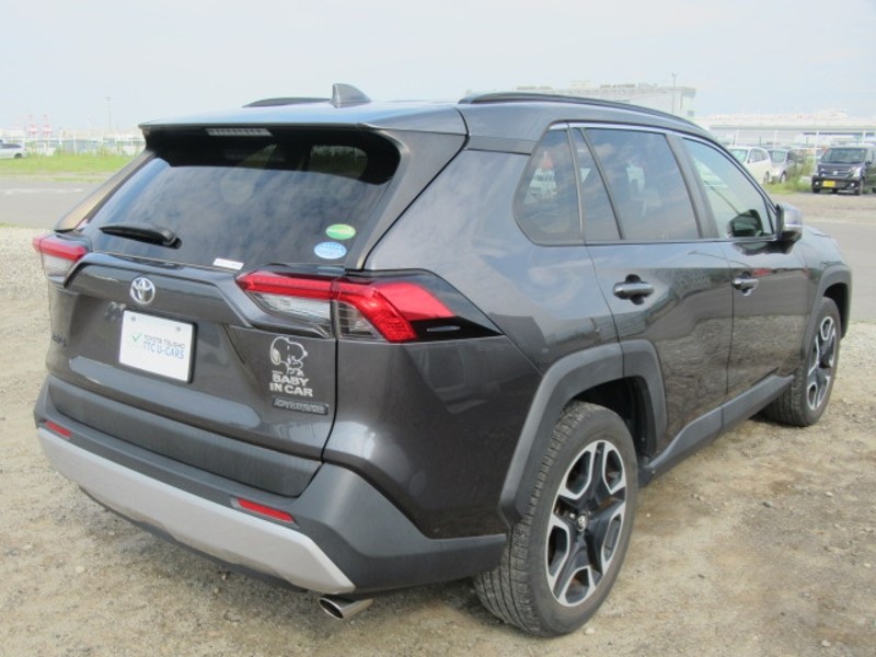 2019 TOYOTA RAV4 ADVENTURE