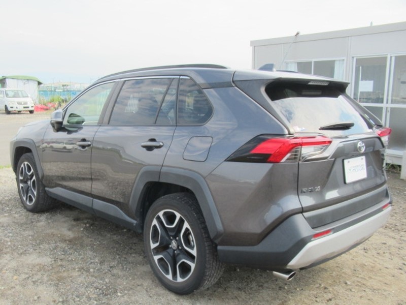 2019 TOYOTA RAV4 ADVENTURE