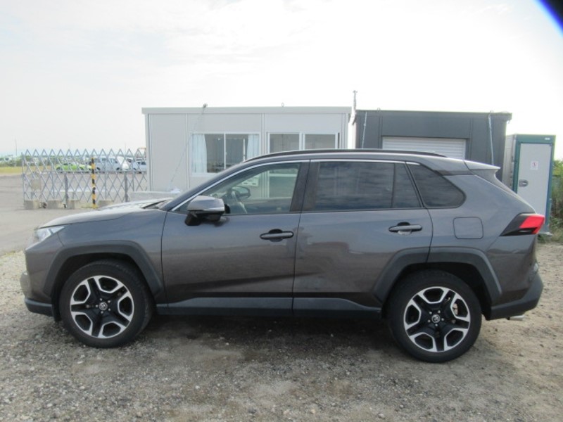 2019 TOYOTA RAV4 ADVENTURE