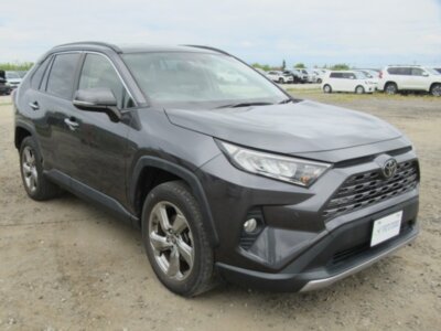 Image of 2019 TOYOTA RAV4 G