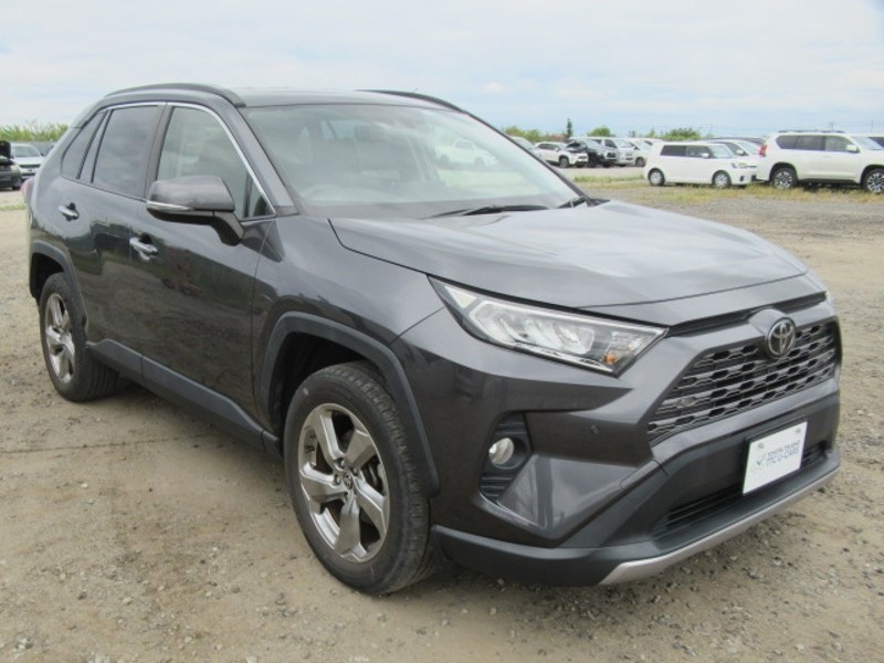 2019 TOYOTA RAV4 G