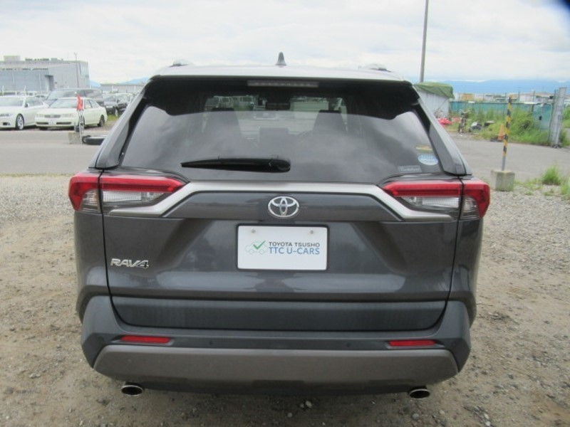 2019 TOYOTA RAV4 G