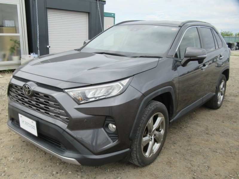 2019 TOYOTA RAV4 G