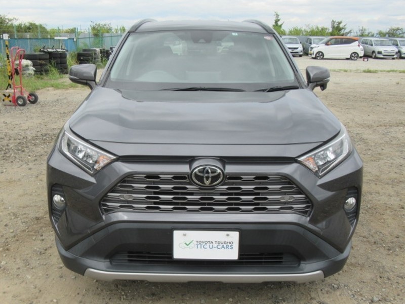 2019 TOYOTA RAV4 G